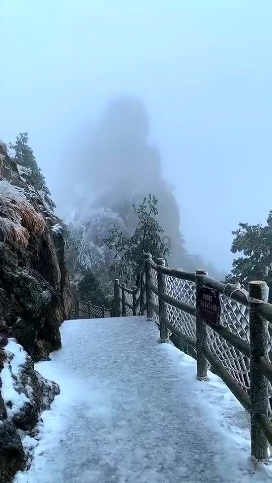 “浦江强叔”张世强:在青岛饮弹自尽,16亿资金不知所踪