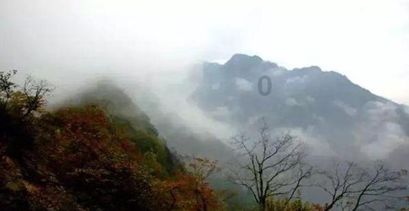 洗衣机49分钟包括什么